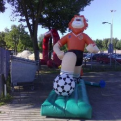 BP05 - Oranje Leeuw